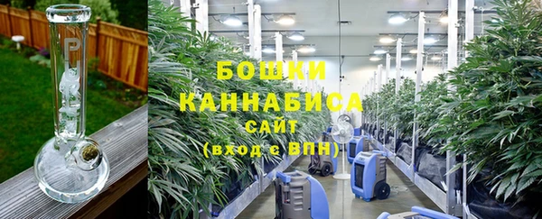 PSILOCYBIN Баксан